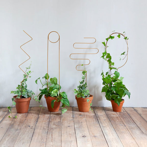 Golden Plant Stakes