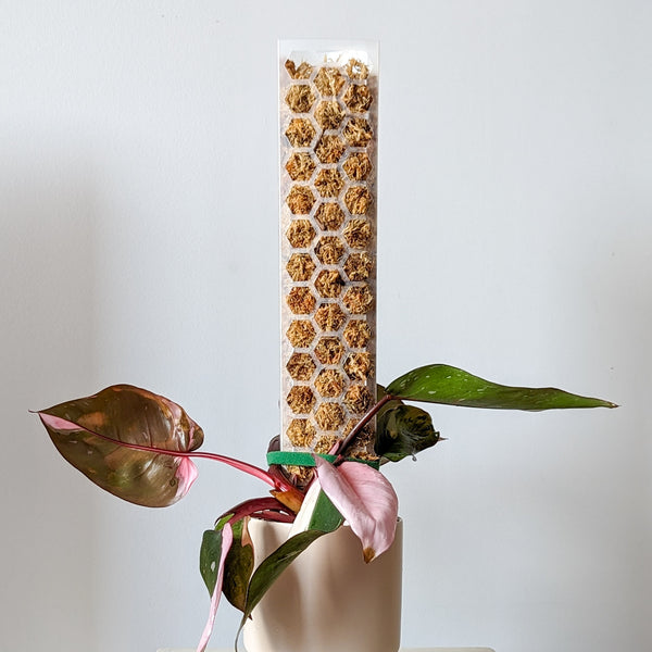 Large Honeycomb Moss Pole