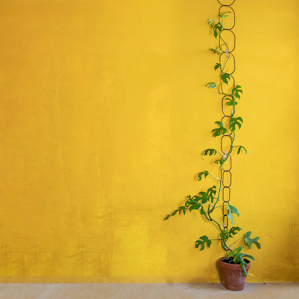 Climbing Plant Support - FOLIATA