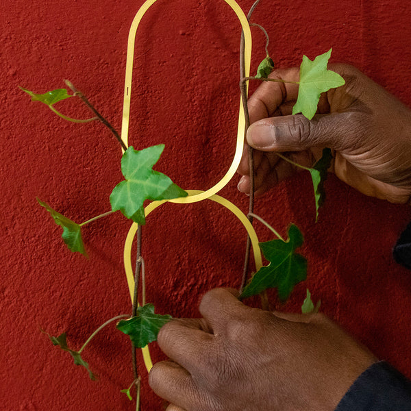 Climbing Plant Support - FOLIATA