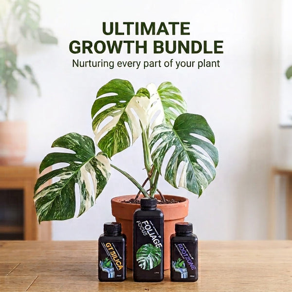 Ultimate Growth Bundle