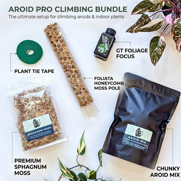Aroid Pro Climbing Bundle