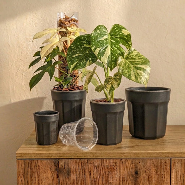 Black ClearView Pot Set