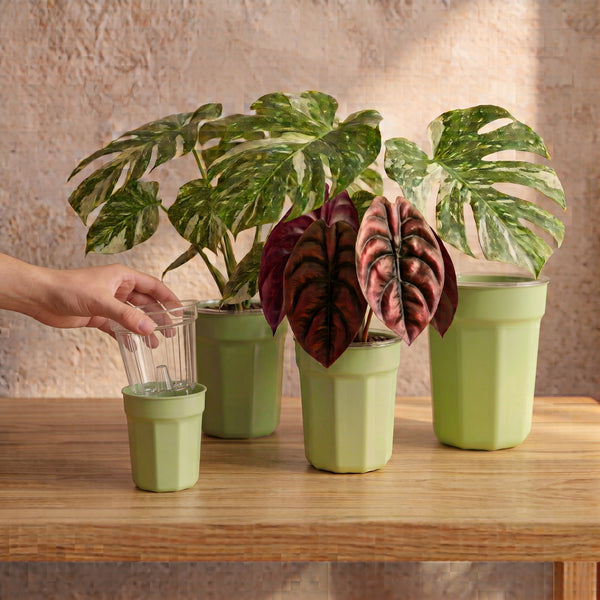 Green ClearView Pot Set