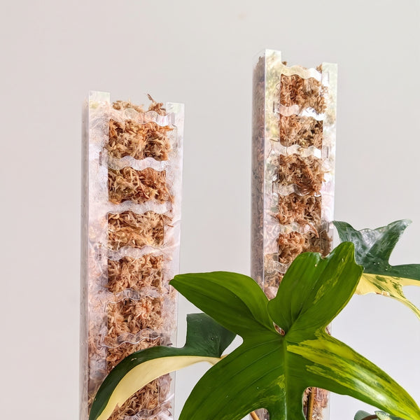Foliata WaveFront Moss Pole