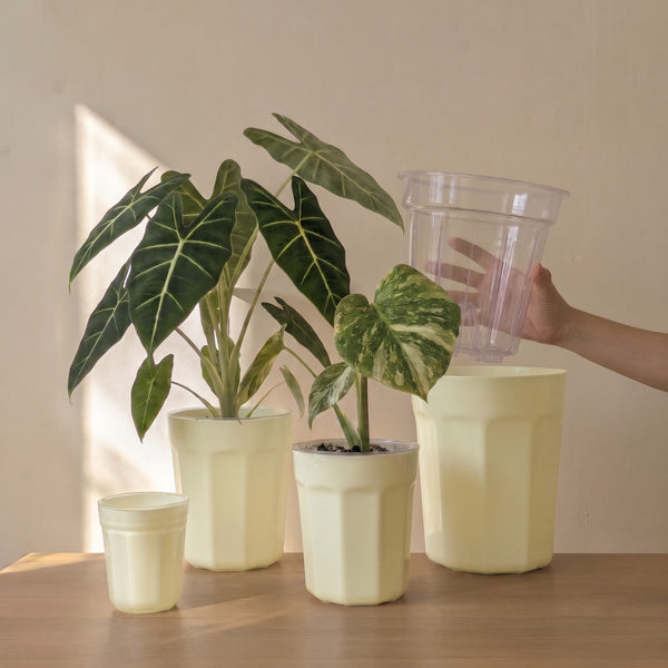 White ClearView Pot