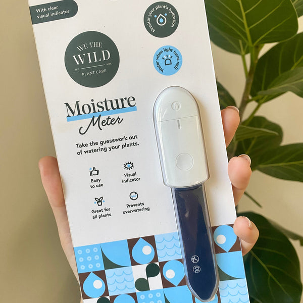 Indoor Plant Moisture Meter