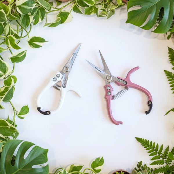 Indoor Plant Snips