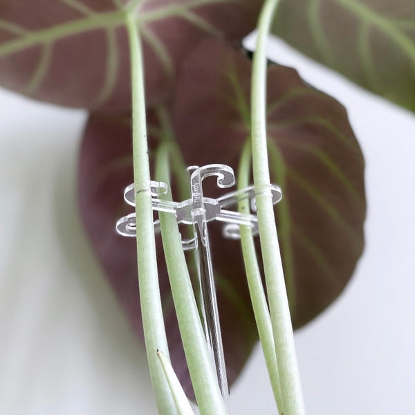 Leafy Stem Support Hooks